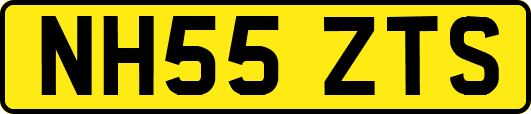 NH55ZTS
