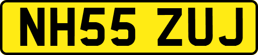 NH55ZUJ