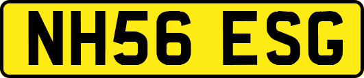 NH56ESG