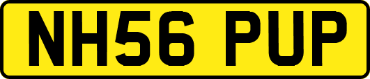 NH56PUP