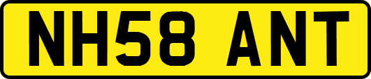 NH58ANT