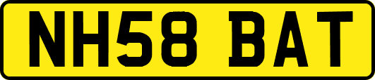 NH58BAT