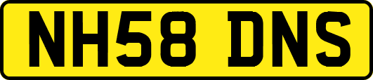 NH58DNS