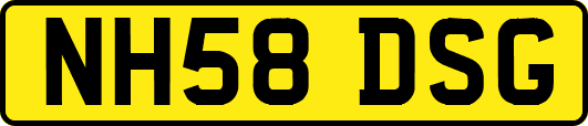 NH58DSG