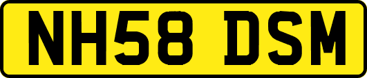 NH58DSM