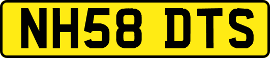 NH58DTS