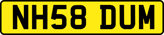 NH58DUM