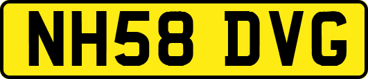 NH58DVG