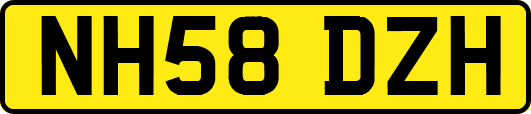 NH58DZH