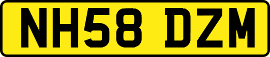 NH58DZM