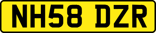 NH58DZR