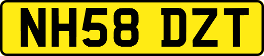 NH58DZT