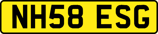 NH58ESG
