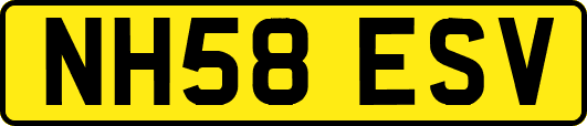 NH58ESV