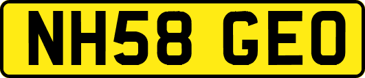 NH58GEO