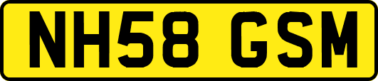 NH58GSM