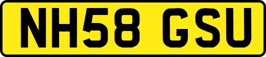 NH58GSU