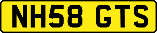 NH58GTS