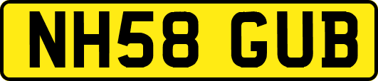 NH58GUB