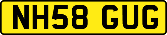 NH58GUG