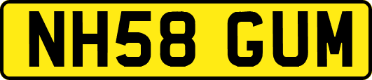 NH58GUM