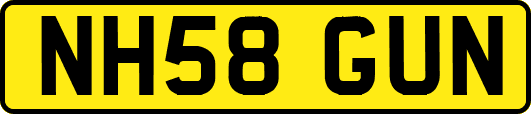 NH58GUN