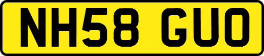 NH58GUO