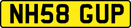 NH58GUP
