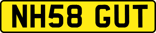 NH58GUT