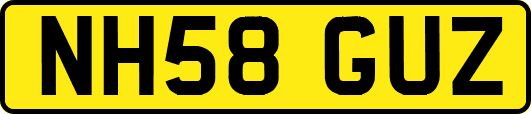 NH58GUZ