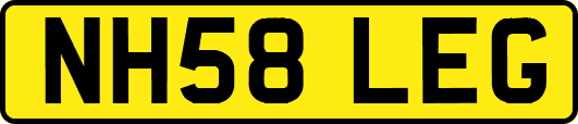 NH58LEG