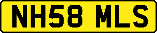 NH58MLS