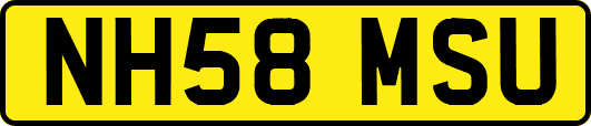 NH58MSU