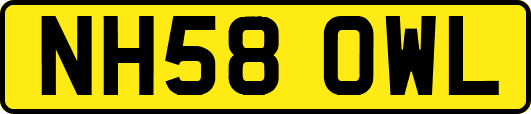 NH58OWL