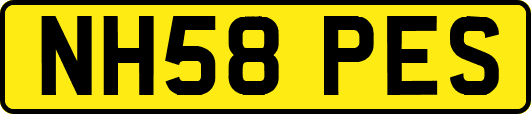 NH58PES