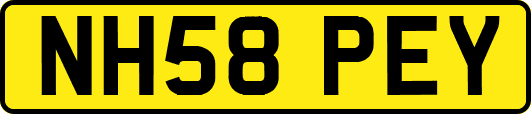 NH58PEY