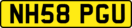 NH58PGU