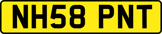 NH58PNT