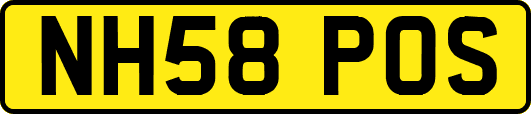 NH58POS