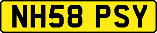 NH58PSY