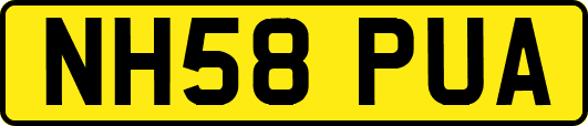 NH58PUA