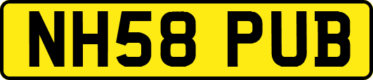 NH58PUB