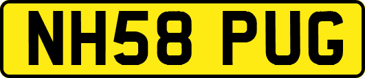 NH58PUG