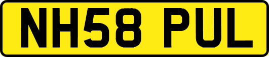 NH58PUL