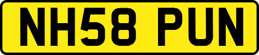 NH58PUN