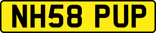 NH58PUP