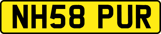 NH58PUR