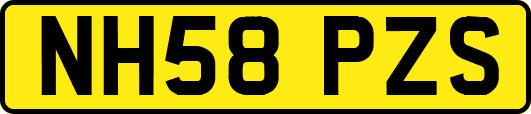 NH58PZS