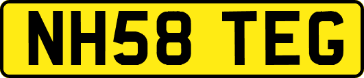 NH58TEG