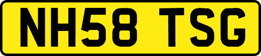 NH58TSG